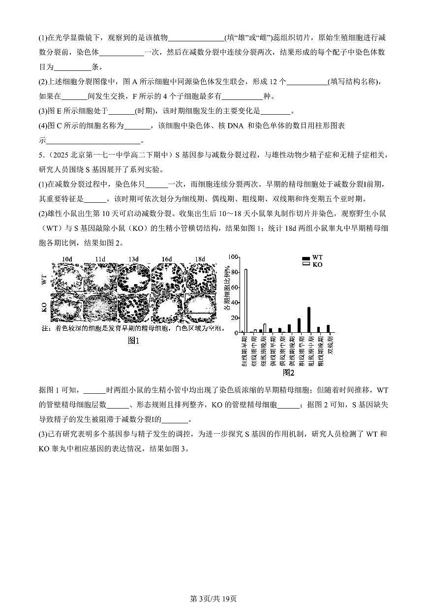 2025北京重点校高一(下)期中生物汇编(试题):减数分裂和受精作用(非选择题) 有答案解析第3页