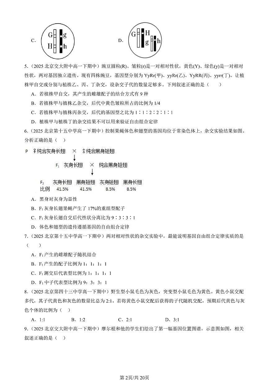 2025北京重点校高一(下)期中生物汇编(试题):遗传因子的发现章节综合(单选题)2 有答案解析第2页