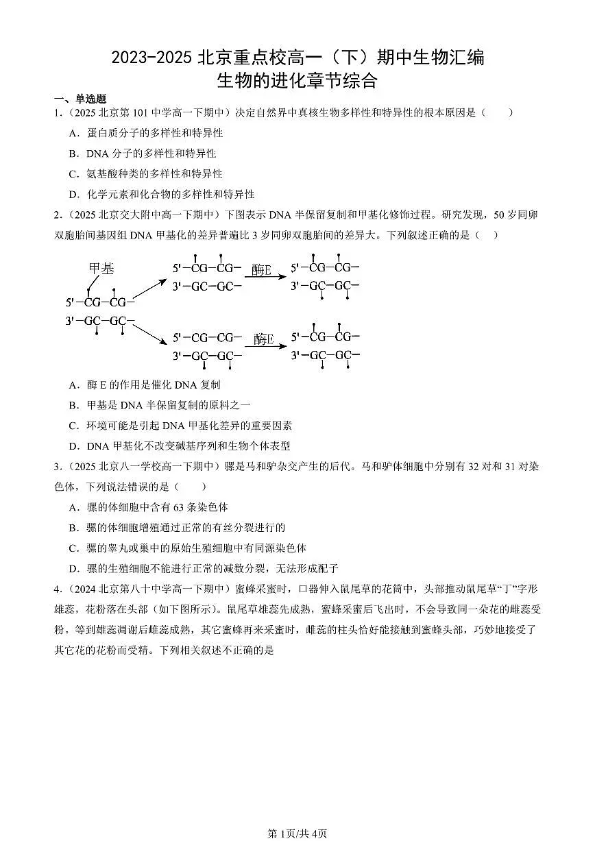 2023-2025北京重点校高一(下)期中生物汇编(试题):生物的进化章节综合 有答案解析第1页