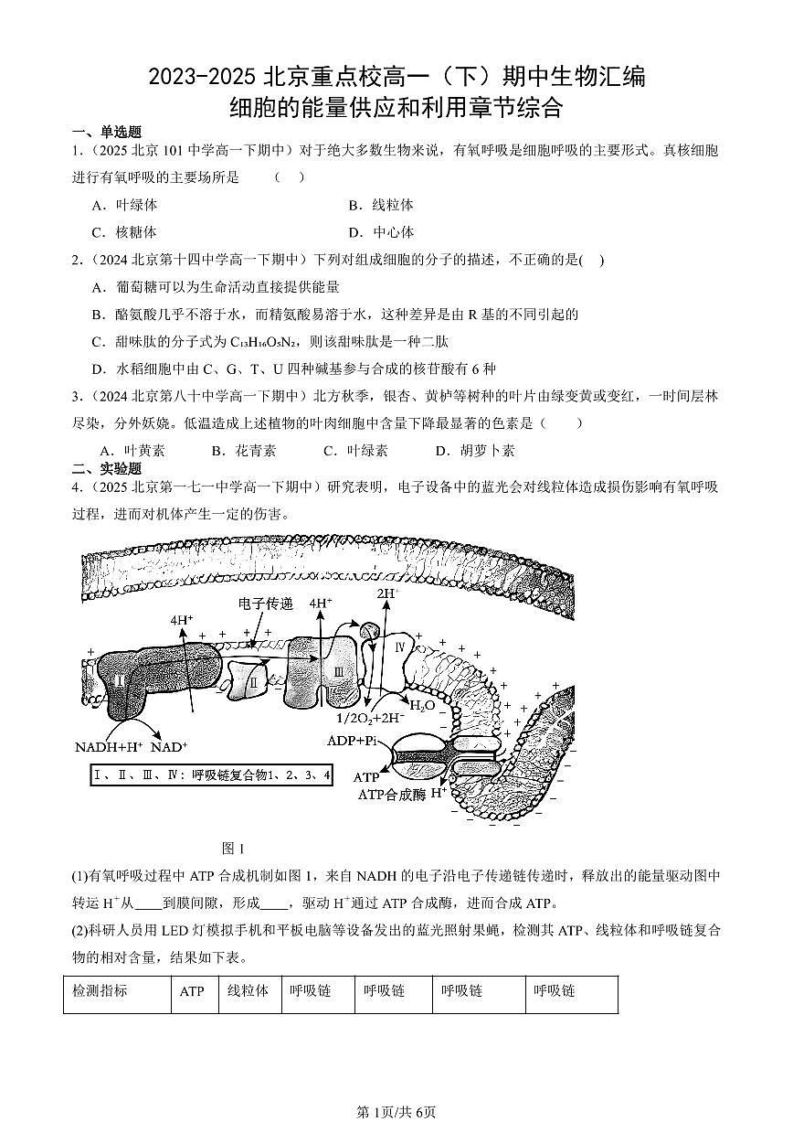 2023-2025北京重点校高一(下)期中生物汇编(试题):细胞的能量供应和利用章节综合 有答案解析第1页