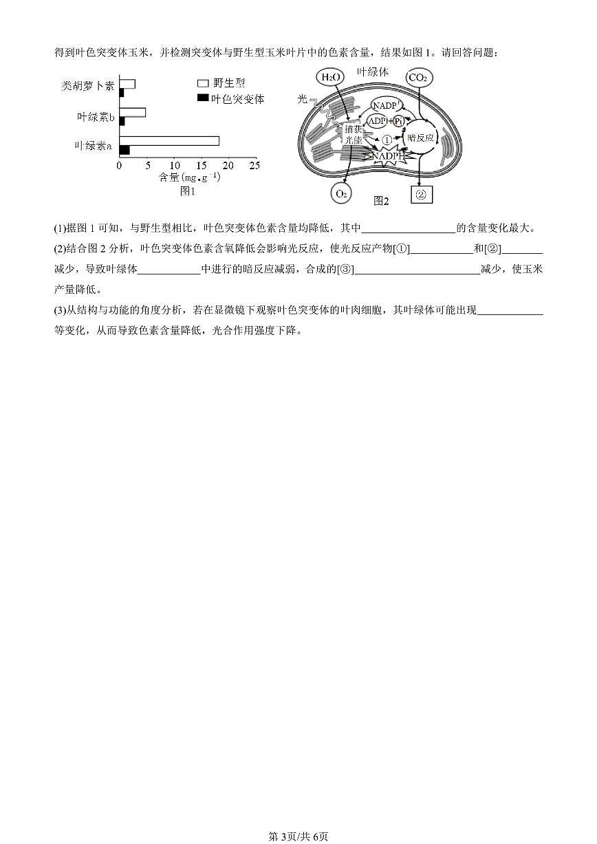 2023-2025北京重点校高一(下)期中生物汇编(试题):细胞的能量供应和利用章节综合 有答案解析第3页