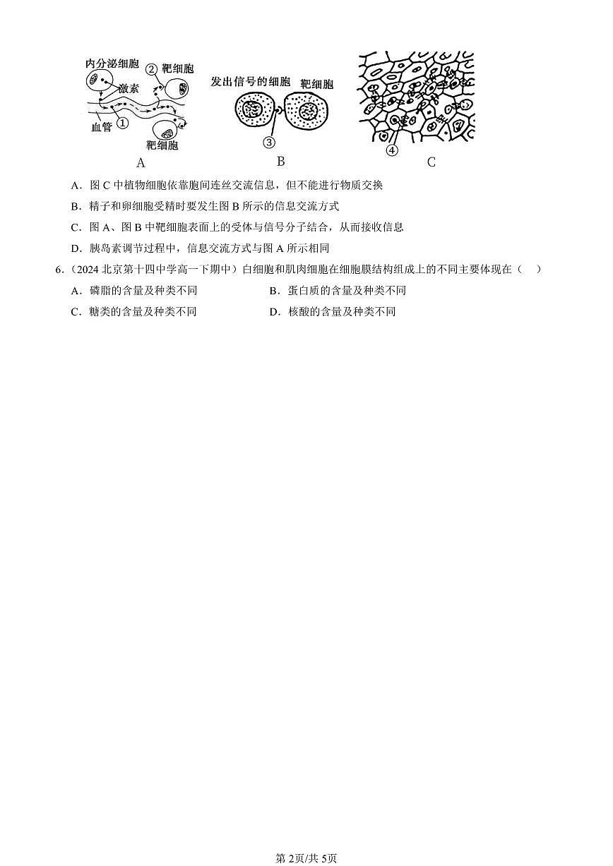 2023-2025北京重点校高一(下)期中生物汇编(试题):细胞膜的结构和功能 有答案解析第2页