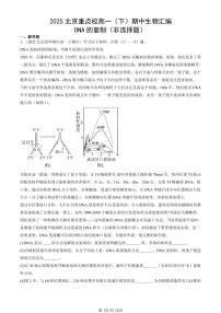 2025北京重点校高一（下）期中生物汇编(试题)：DNA的复制（非选择题） 有答案解析