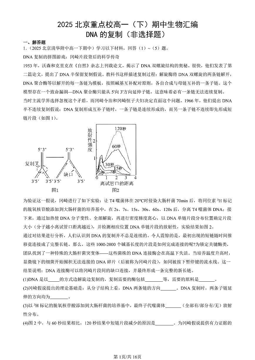 2025北京重点校高一(下)期中生物汇编(试题):DNA的复制(非选择题) 有答案解析第1页