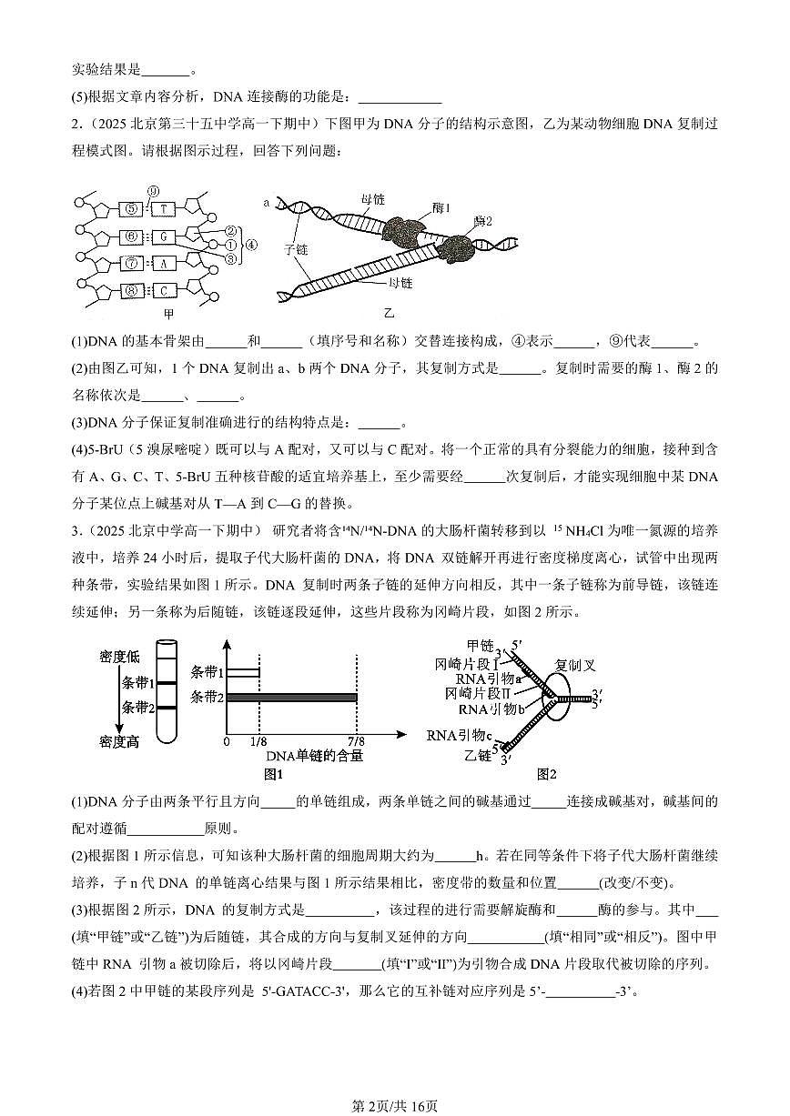 2025北京重点校高一(下)期中生物汇编(试题):DNA的复制(非选择题) 有答案解析第2页