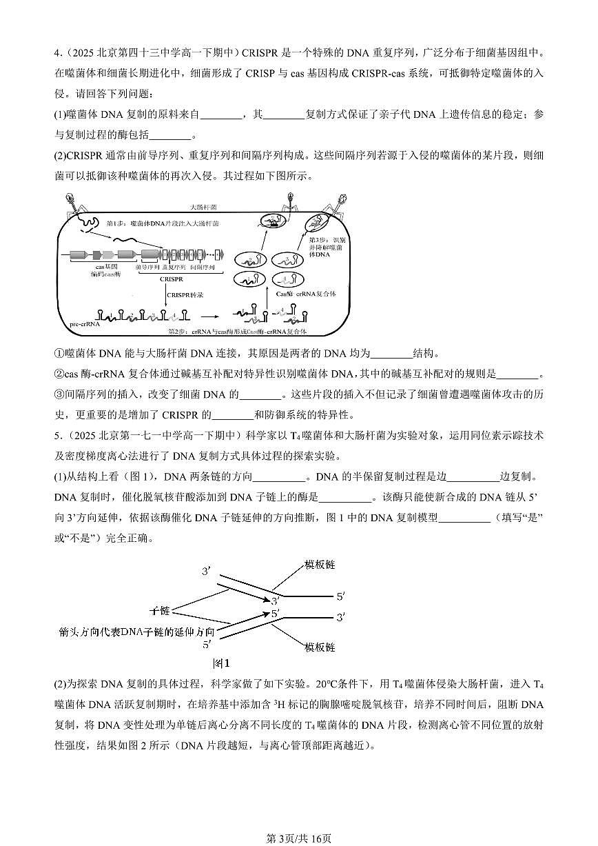2025北京重点校高一(下)期中生物汇编(试题):DNA的复制(非选择题) 有答案解析第3页