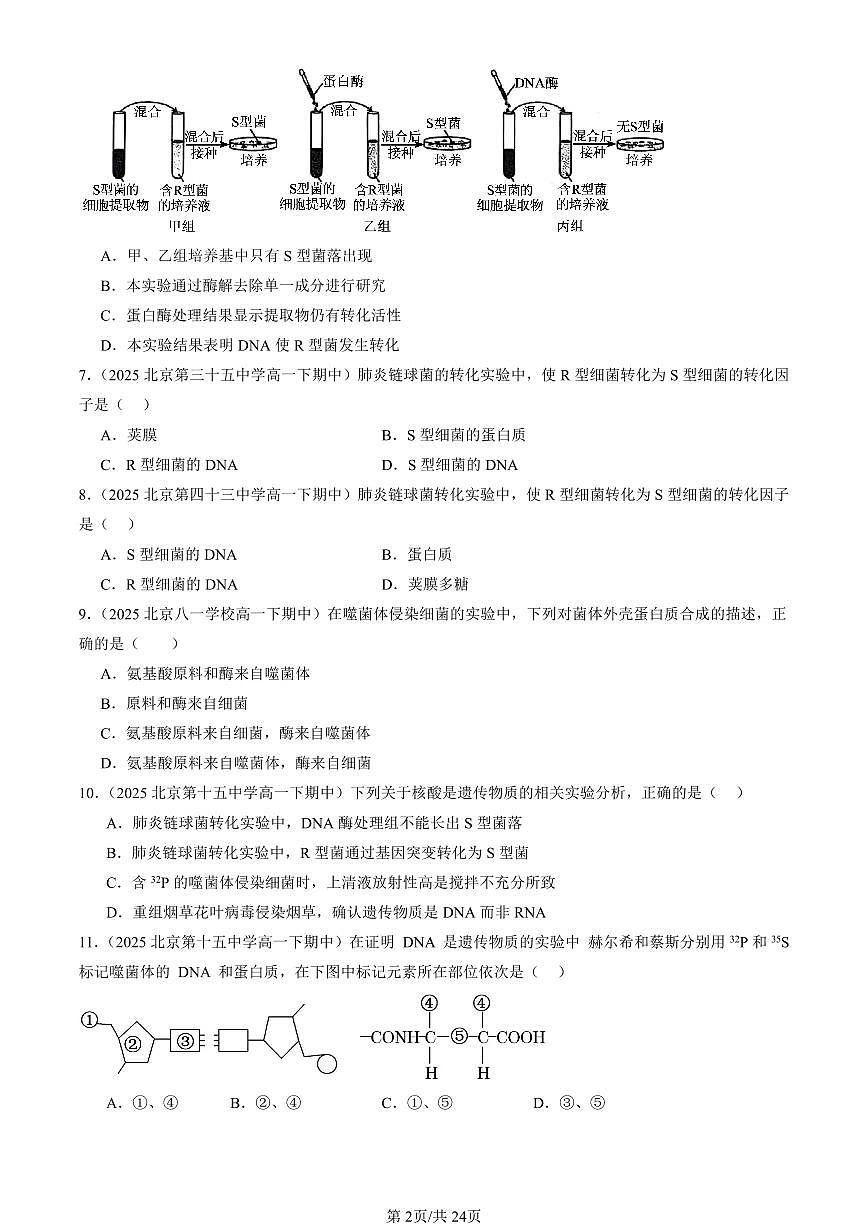 2025北京重点校高一(下)期中生物汇编(试题):DNA是主要的遗传物质 有答案解析第2页