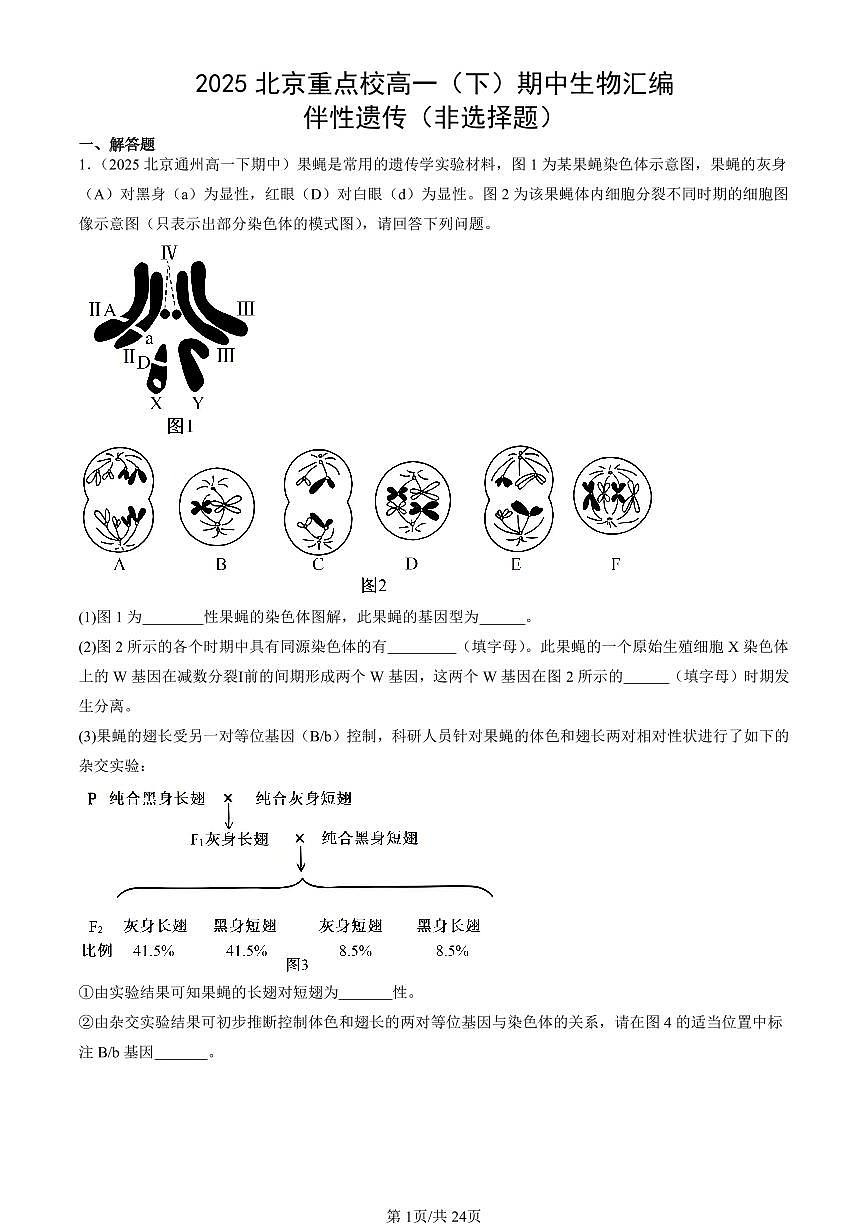 2025北京重点校高一(下)期中生物汇编(试题):伴性遗传(非选择题) 有答案解析第1页