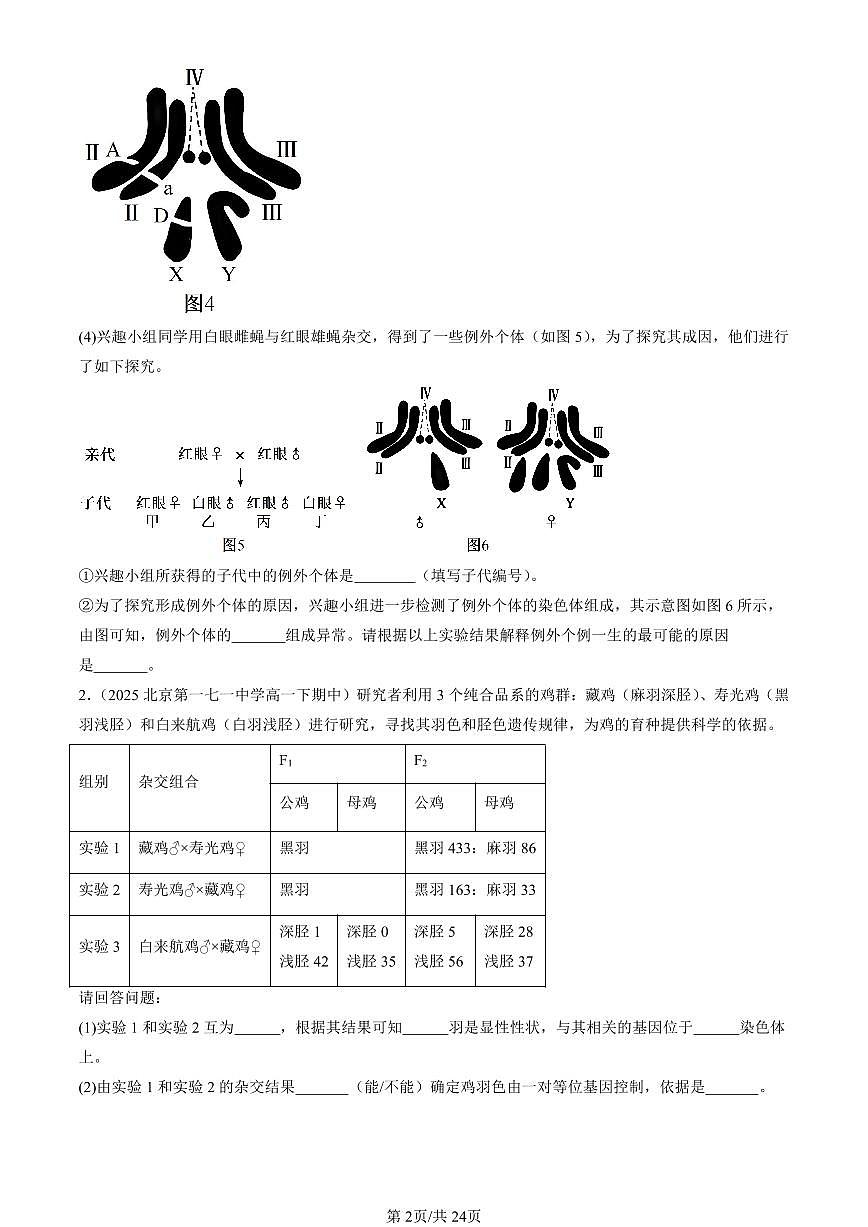 2025北京重点校高一(下)期中生物汇编(试题):伴性遗传(非选择题) 有答案解析第2页