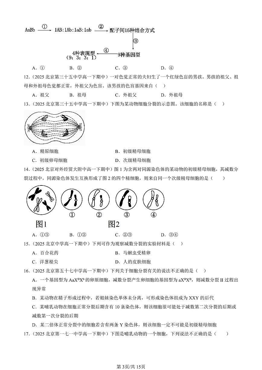 2025北京重点校高一(下)期中生物汇编(试题):基因和染色体的关系章节综合(单选题)1 有答案解析第3页