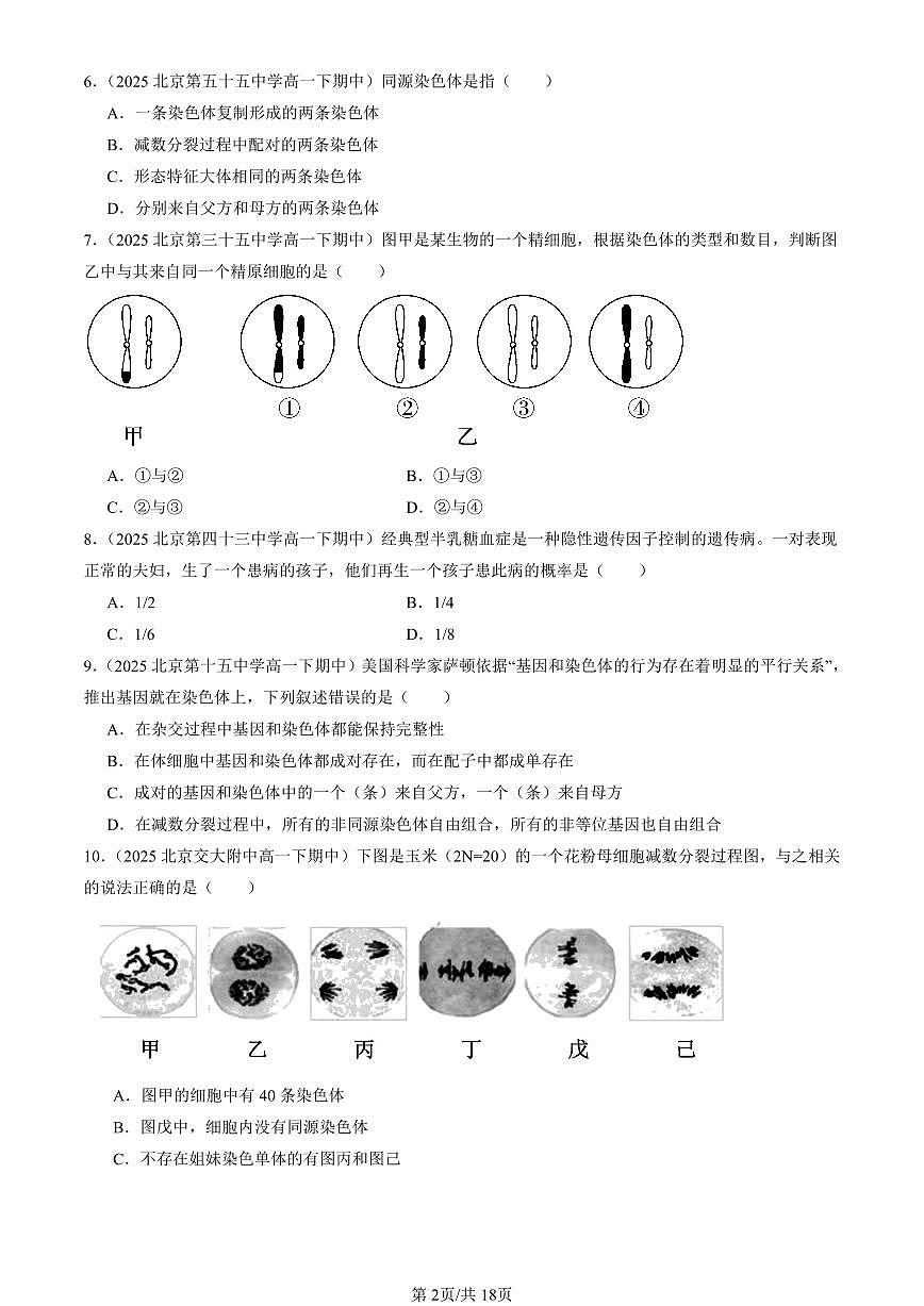 2025北京重点校高一(下)期中生物汇编(试题):基因和染色体的关系章节综合(单选题)2 有答案解析第2页