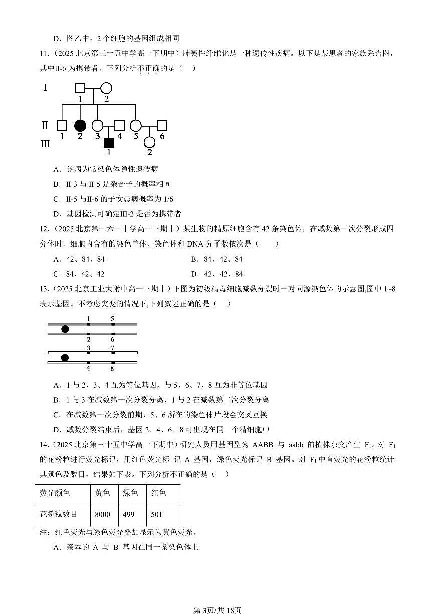 2025北京重点校高一(下)期中生物汇编(试题):基因和染色体的关系章节综合(单选题)2 有答案解析第3页