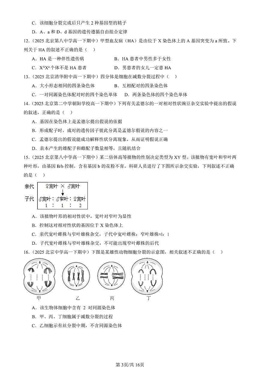 2025北京重点校高一(下)期中生物汇编(试题):基因和染色体的关系章节综合(单选题)4 有答案解析第3页
