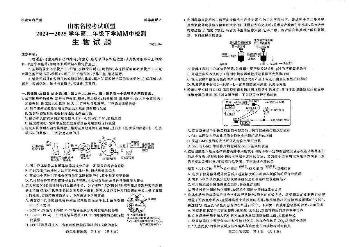 山东省名校考试联盟2024-2025学年高二下学期期中考试生物试卷第1页