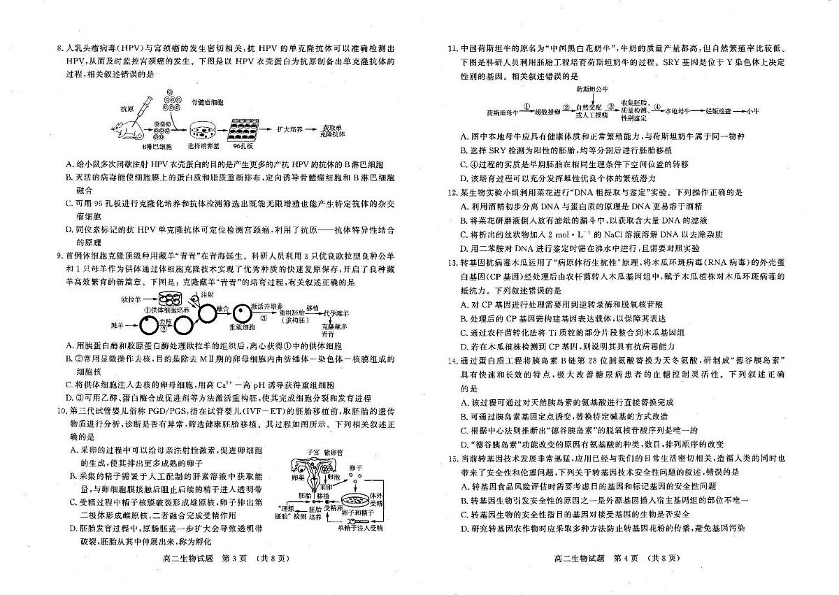 山东省名校考试联盟2024-2025学年高二下学期期中考试生物试卷第2页