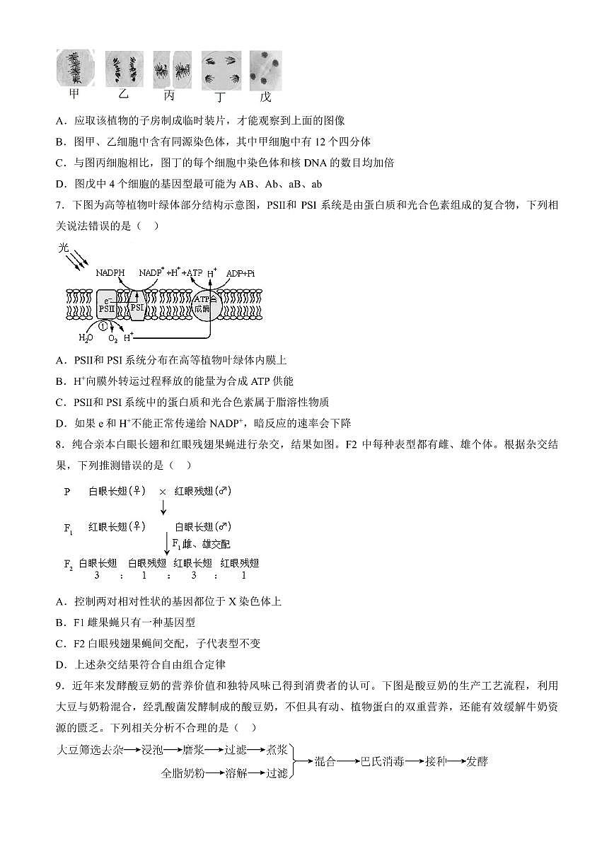 2025北京和平街一中高三(上)开学考生物(教师版)试卷第2页