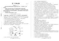 2025届山东省德州市优高联考高三下学期11月期中考-生物试卷（含答案）