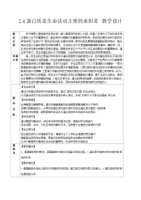 人教版 (2019)必修1《分子与细胞》蛋白质是生命活动的主要承担者教案