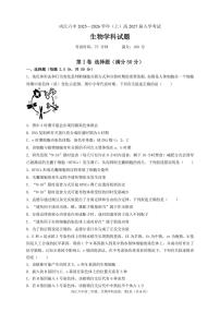 四川省内江市第六中学2025-2026学年高二上学期入学考试生物试题(图片版含答案)含答案解析含答案