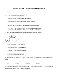 四川省绵阳市东辰学校2025-2026学年高二上学期开学分班检测生物试卷（含答案）含答案解析含答案