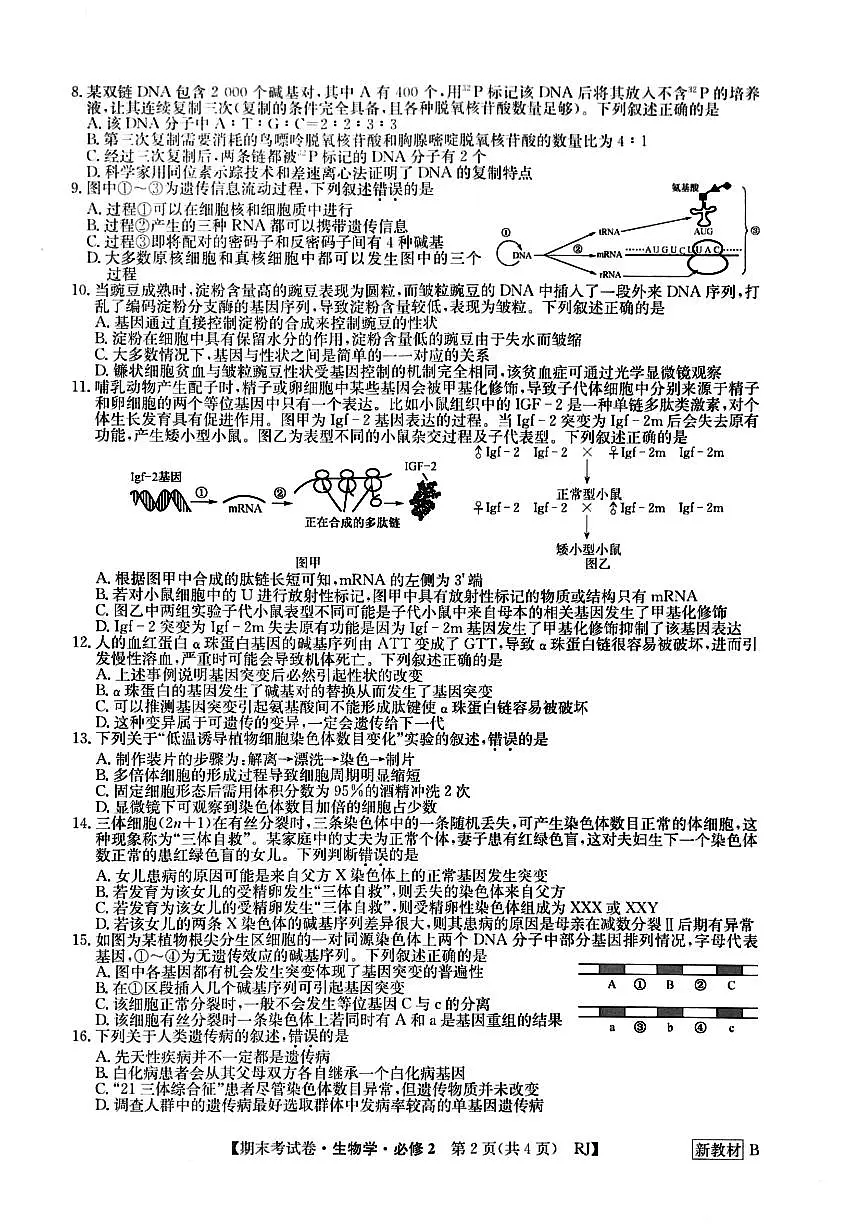 河南省周口市鹿邑县第三高级中学2023-2024学年高一下学期期末考试生物试题第3页
