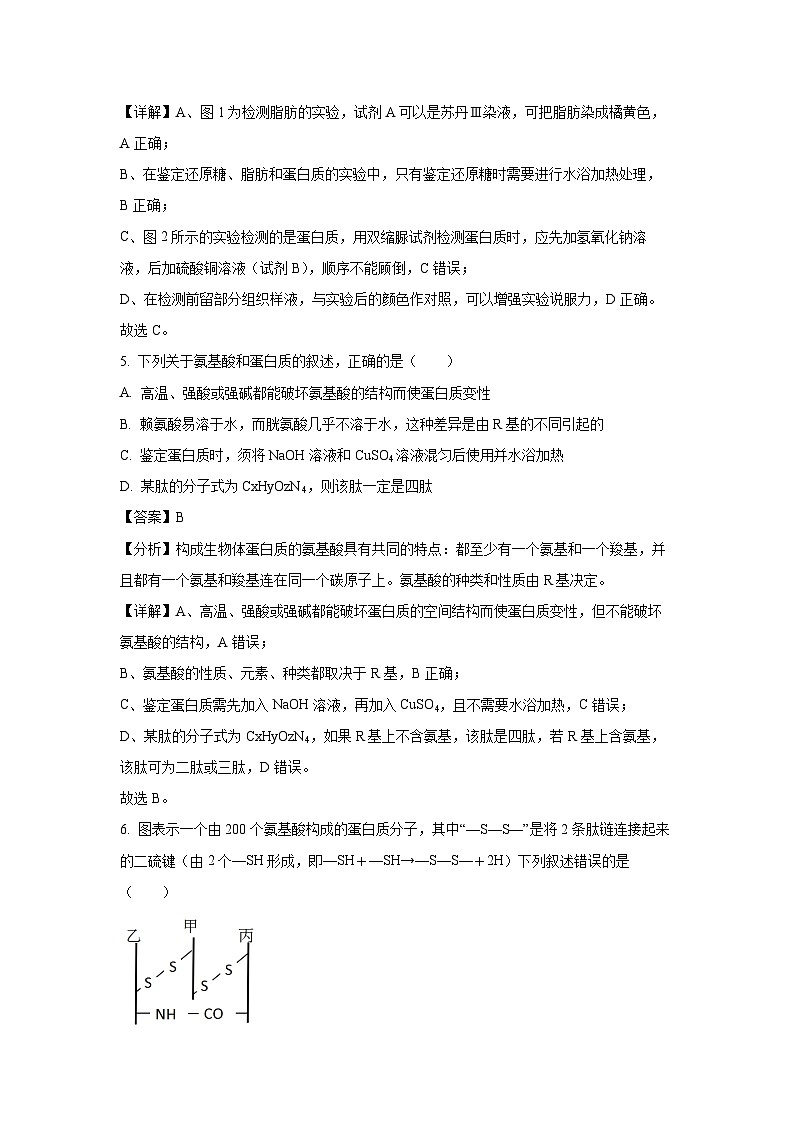 湖南省衡阳市衡阳县部分学校2024-2025学年高一上学期第一次月考(A卷)生物试卷(解析版)第3页