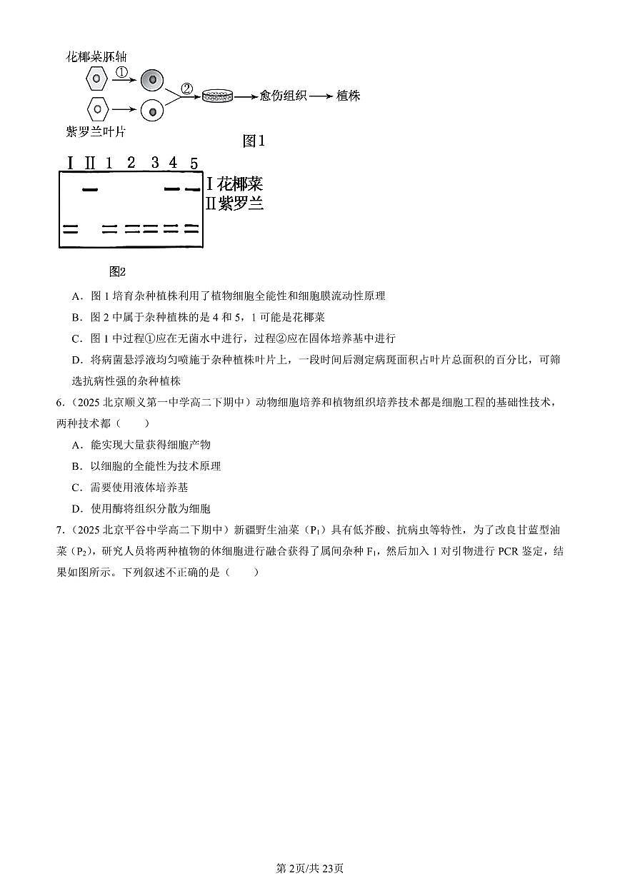 2025北京重点校高二(下)期中生物汇编:细胞工程章节综合(单选题)2第2页