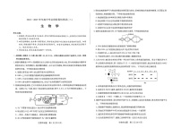 2025届天一大联考高三下学期11月阶段考（三）-生物试题（含答案）