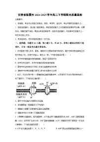 甘肃省临夏州2024-2025学年高二下学期期末质量监测生物试卷（学生版）