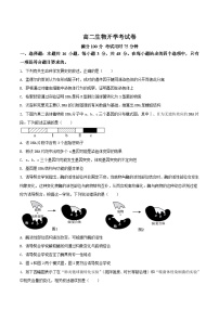 2026南阳宛城区等2地高二上学期开学考试生物含答案