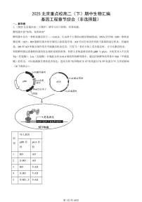 2025北京重点校高二(下)期中生物汇编:基因工程章节综合(非选择题)