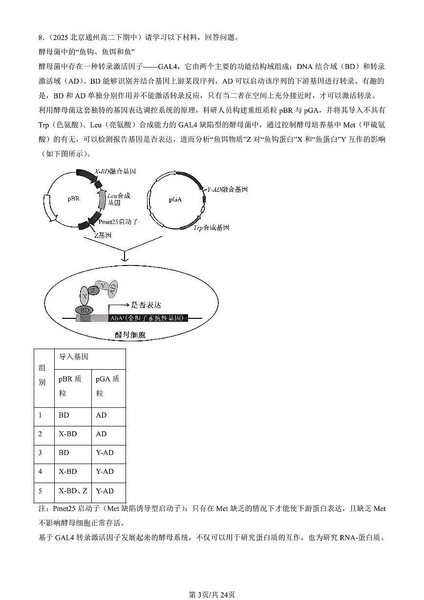2025北京重点校高二(下)期中生物汇编:基因工程的应用第3页