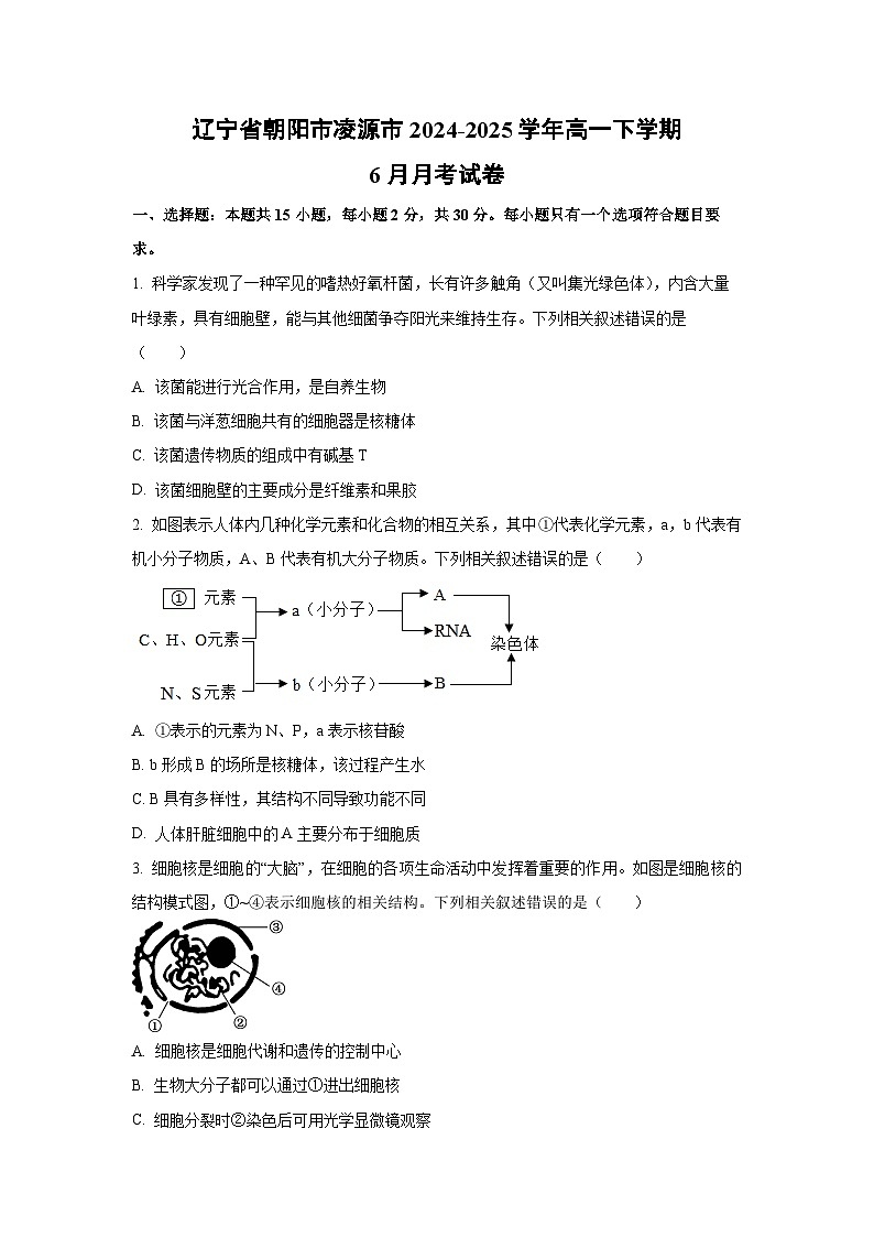 辽宁省朝阳市凌源市2024-2025学年高一下学期6月月考生物试卷(学生版)第1页