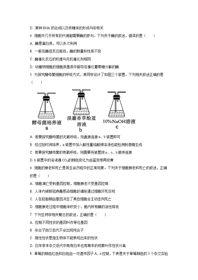 辽宁省朝阳市凌源市2024-2025学年高一下学期6月月考生物试卷(学生版)第2页
