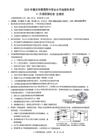 2025届重庆市康德卷高三下学期11月调研-生物试卷（含答案）