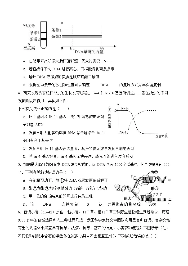 湖北省荆州中学2025-2026学年高二上学期9月月考生物试卷第2页