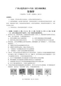 广西示范性高中2026届高三上学期9月联合调研测试生物试卷（含解析）