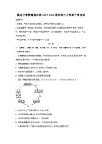黑龙江省教育联合体2025-2026学年高三上学期开学考试生物试卷（学生版）