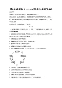 黑龙江省教育联合体2025-2026学年高三上学期开学考试生物试卷（学生版）