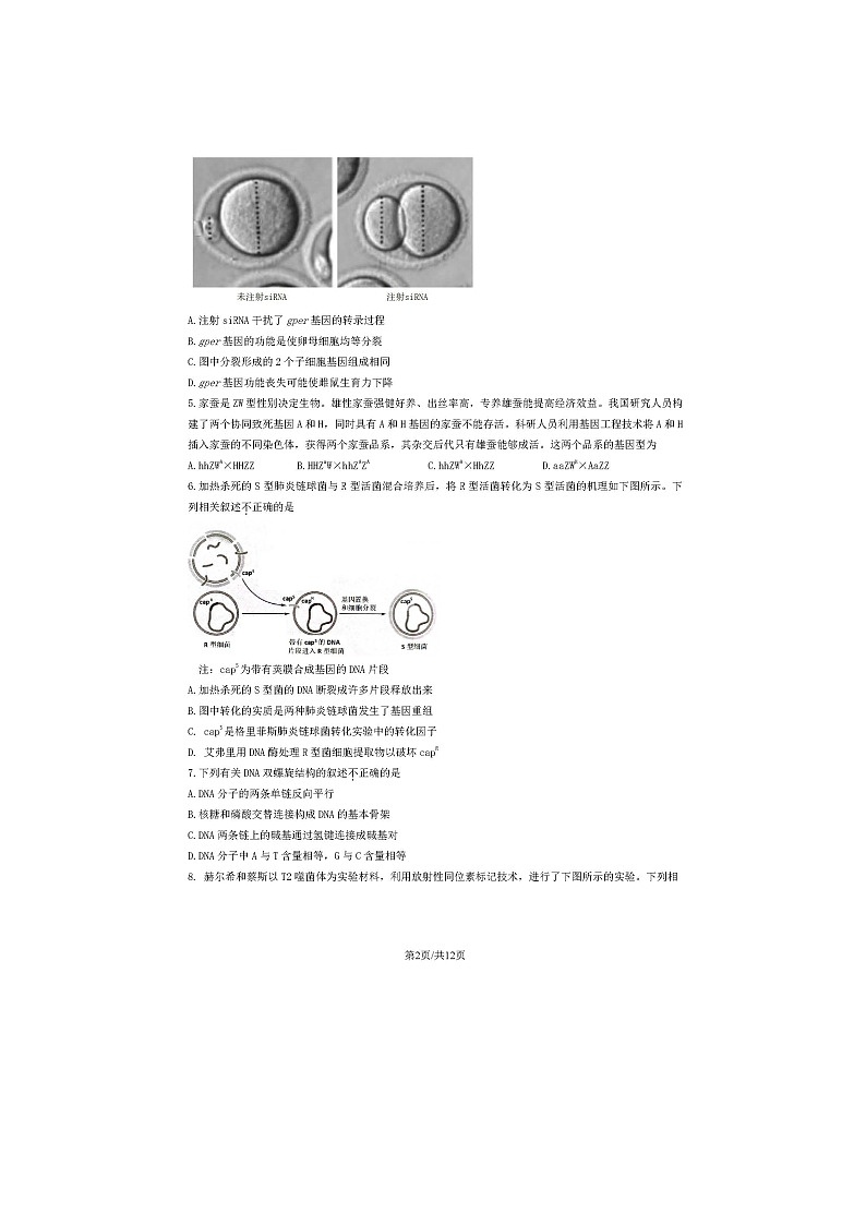 2023北京朝阳区高一下学期期末生物试题及答案第2页