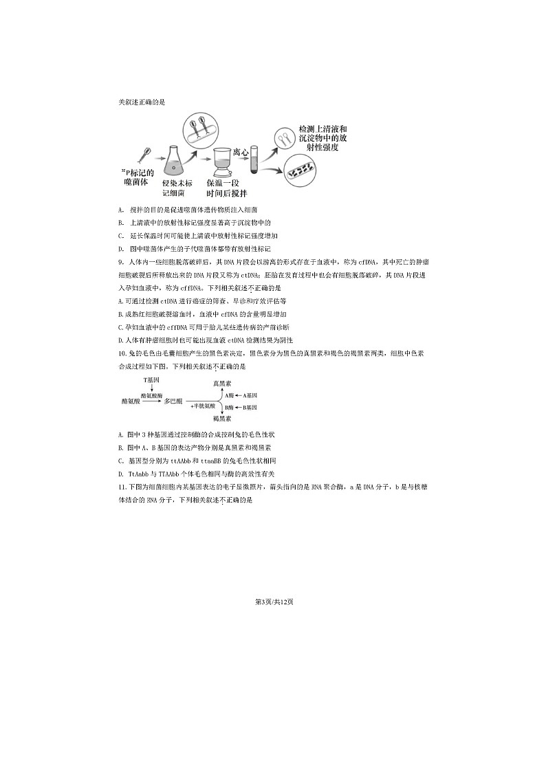 2023北京朝阳区高一下学期期末生物试题及答案第3页