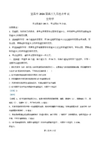 湖北省宜昌市2026届高三上学期9月起点考试生物试题（Word版附解析）