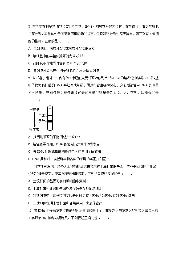 广西壮族自治区梧州市2024-2025学年高一下学期5月阶段性考试生物试卷(学生版)第3页