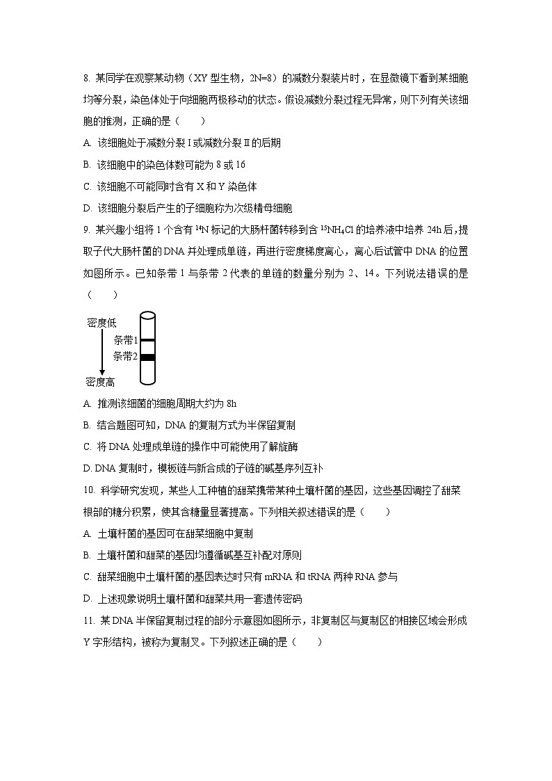 广西壮族自治区梧州市2024-2025学年高一下学期5月阶段性考试生物试卷(学生版)第3页