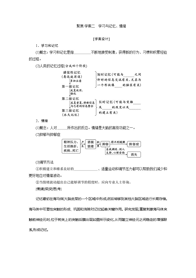 高二生物人教版选择性必修一导学案第2章第5节人脑的高级功能(Word版附解析)第3页