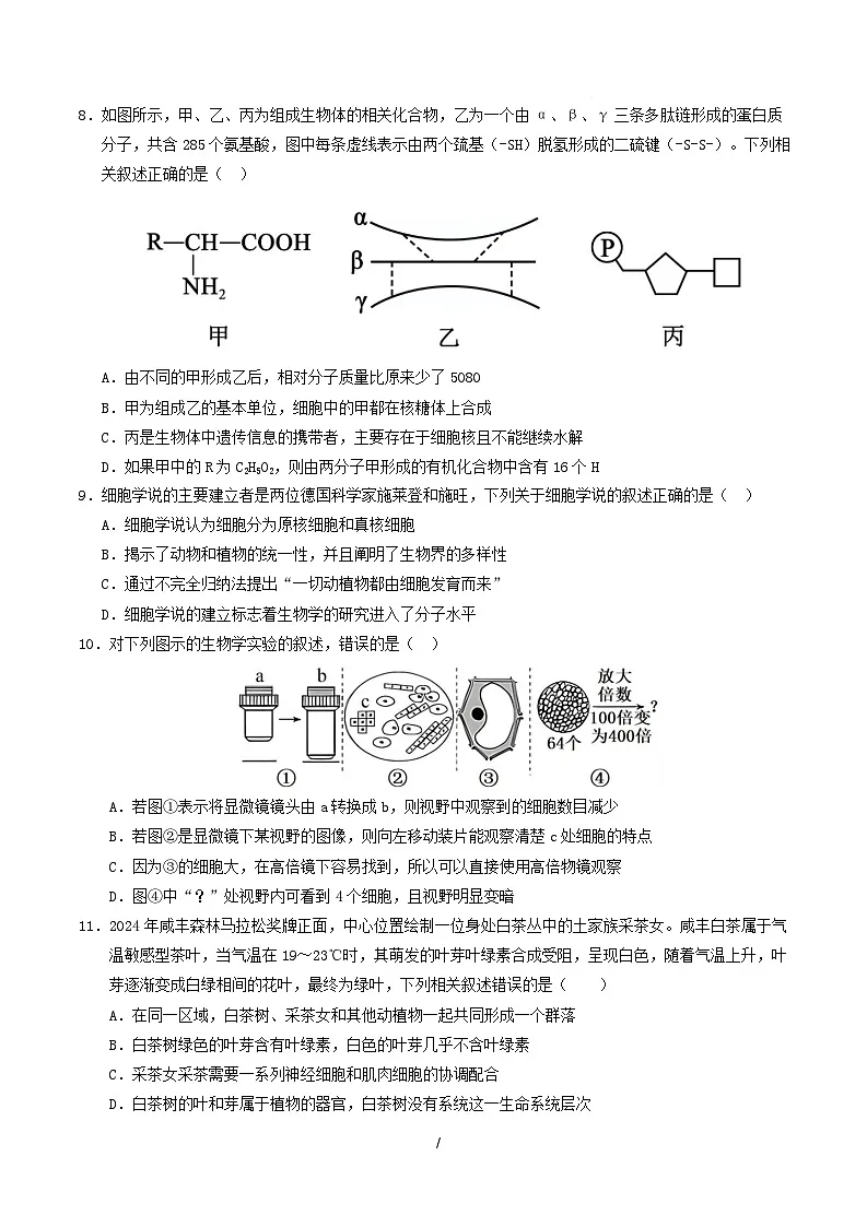 高一生物上学期第一次月考(苏教版2019) 【测试范围:苏教版2019必修1第1章~第2章第1节】(考试版)第3页