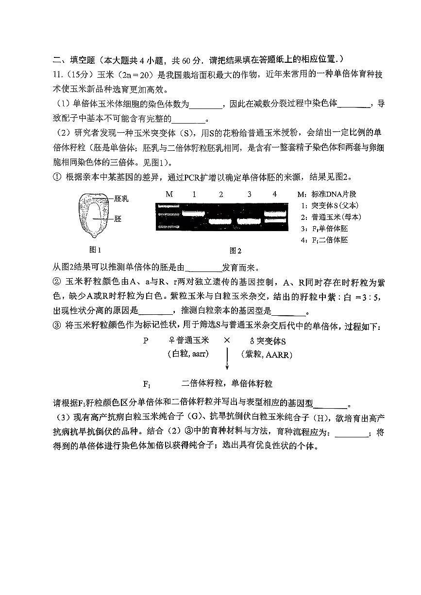 2025北京人大附中高三(上)练习二生物第3页