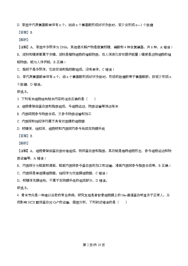 湖南省金太阳(湖南)2026届高三上学期9月月考生物试题 Word版含解析第2页