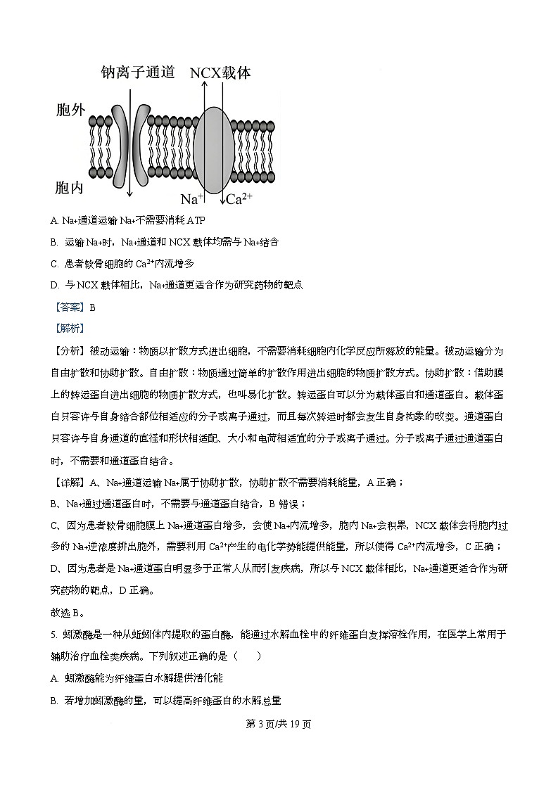 湖南省金太阳(湖南)2026届高三上学期9月月考生物试题 Word版含解析第3页