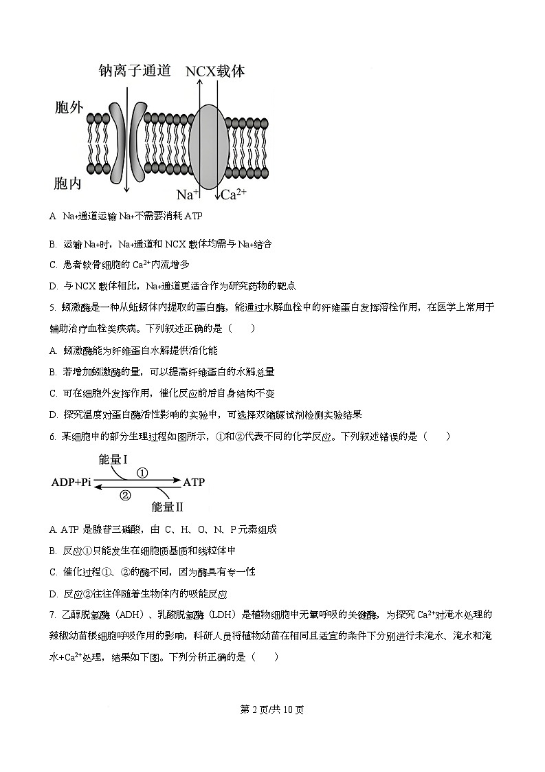 湖南省金太阳(湖南)2026届高三上学期9月月考生物试题 Word版无答案第2页